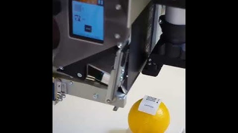 Domino Mx Series Label Print