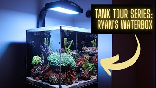 Ryan's Waterbox Reef Tank Tour!