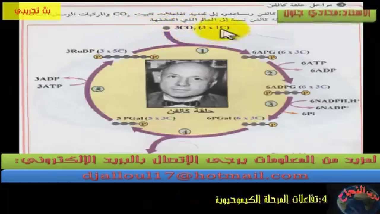 علوم 3AS : تفاعلات المرحلة الكيموحيوية