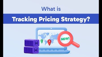 What is ShipsGo Container Tracking Pricing Strategy?