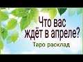 Предсказание на апрель. Что вас ждёт? Таро расклад.