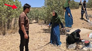 Displaced in Amir Forest with the Family: Husband Returns to Leila