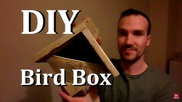 How to make an easy bird box with scrap wood