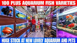 100 Plus Varieties Of Aquarium Fish | Aquarium Fish With Price | At New Lovely Aquarium And Pets