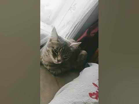 ядрен батон - YouTube