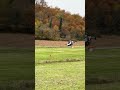 Cruise speed EVTOL test flight #flyingcars #jetsonone #future