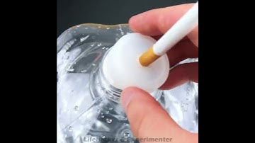 Thumbnail of This is what happens in your lungs when you smoke a cigarette