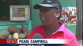 Dry Season Impacts Farmers (TVJ Prime Time News) - July 17 2018