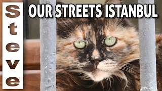 Streets Around Istanbul Today - Just a short Video..??