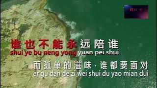 Dang ni gu dan ni hui xiang qi shui Remix  - Karaoke ( No vokal )