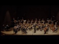 Rachmaninov: Symphonic Dances. Camerata Venia, Gleb Skvortsov
