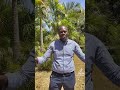 Governor Sakaja Is On Tiktok Kenyas Senior Most Politican In Tiktok Governor Sakaja Is On Tiktok Kenyas Senior Most Politican In Tiktok