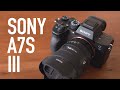 Sony A7S III - Good enough for stills? Overkill for video?