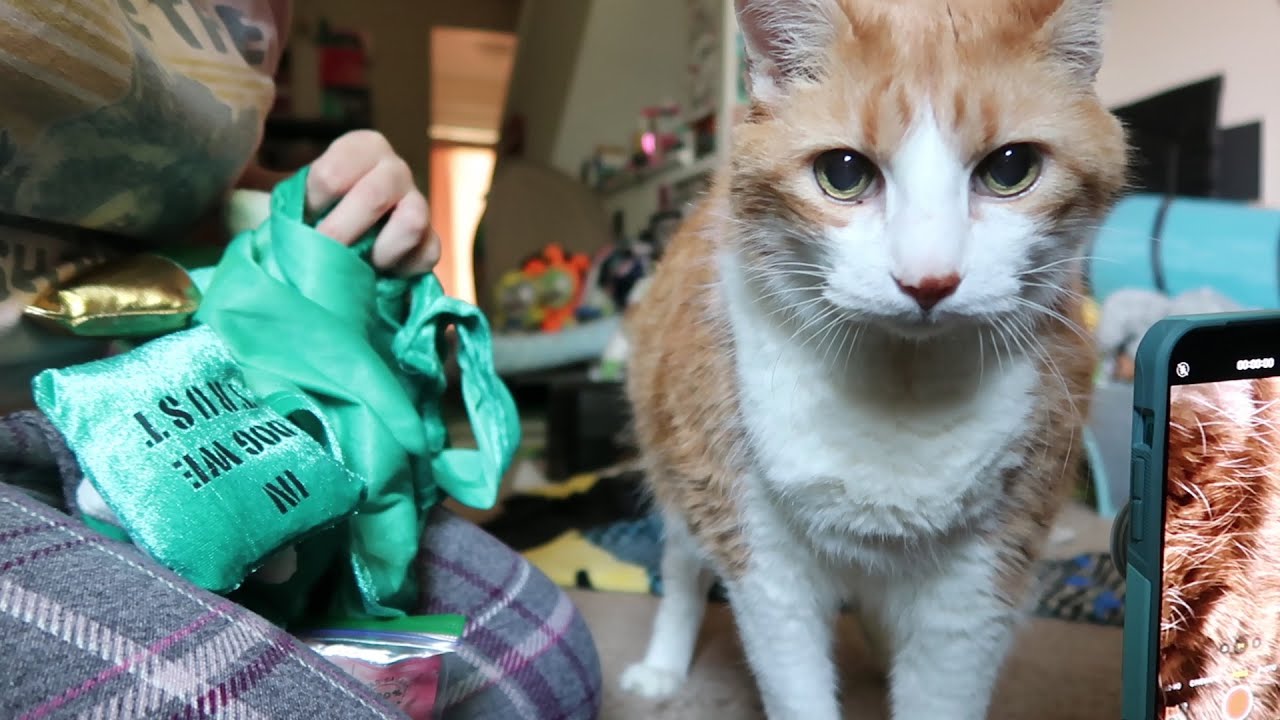 Butters delivers the cute YouTube