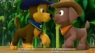 Chase And Zuma Stomach Growls Request To Matteo Salazar