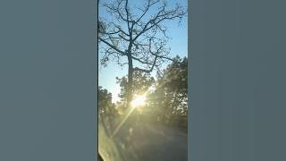 #popularvideo #nature o m g  🤗👍￼ sabse Khoob Suraj Jai ￼
