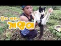 들깨꺽는 집사를 졸졸 따라다니는 귀여운 개양이//Cute cat and dog that only follow the farmer