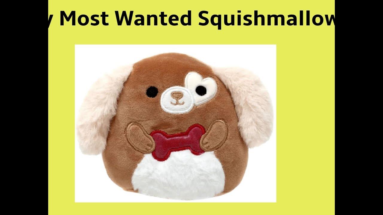 My Most Wanted Squishmallows YouTube