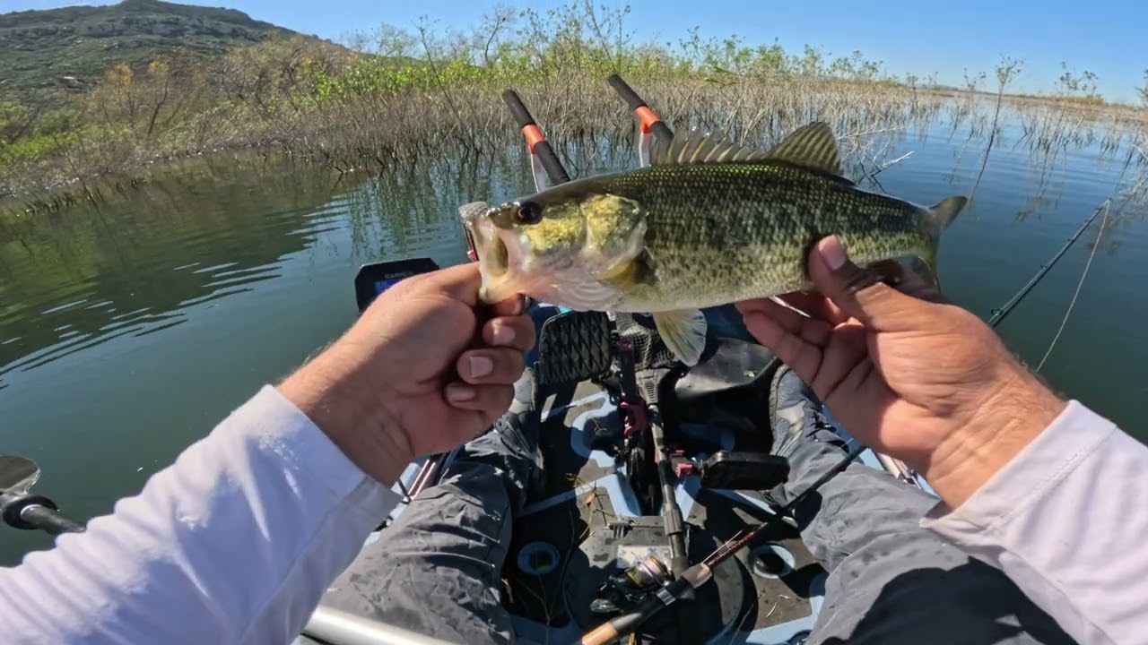 February Bass Fishing At Perris Reservoir [Ep3]
