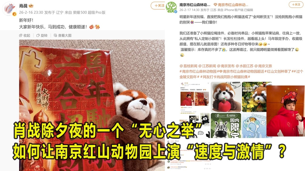 肖战除夕夜的一个“无心之举”，如何让南京红山动物园上演“速度与激情”？