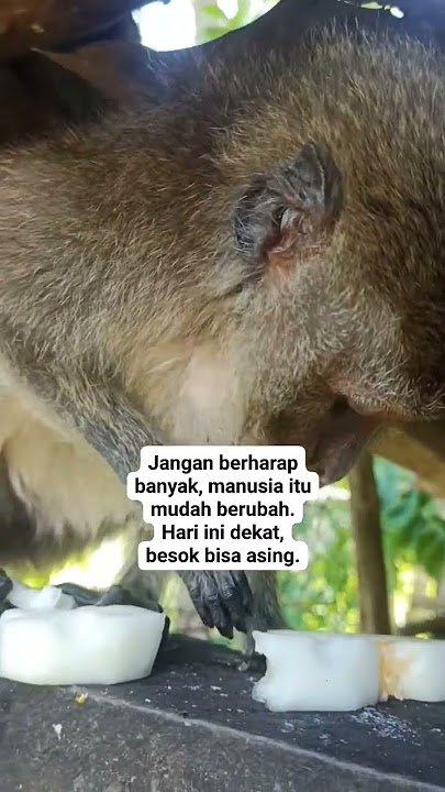 jangan terlalu berharap pada manusia #katakatahariini #inspirasikehidupan