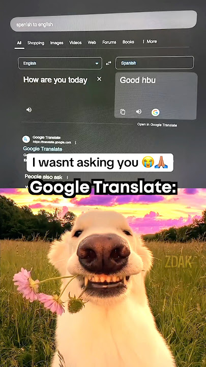 Google Translate moment 😇
