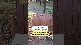 Download Lagu 조민규(CHO Mingyu, 포레스텔라) 서울숲 벤치❤️11월::힐링 인 서울 포레스트 MP3 Download Lagu 조민규(CHO Mingyu, 포레스텔라) 서울숲 벤치❤️11월::힐링 인 서울 포레스트 MP3