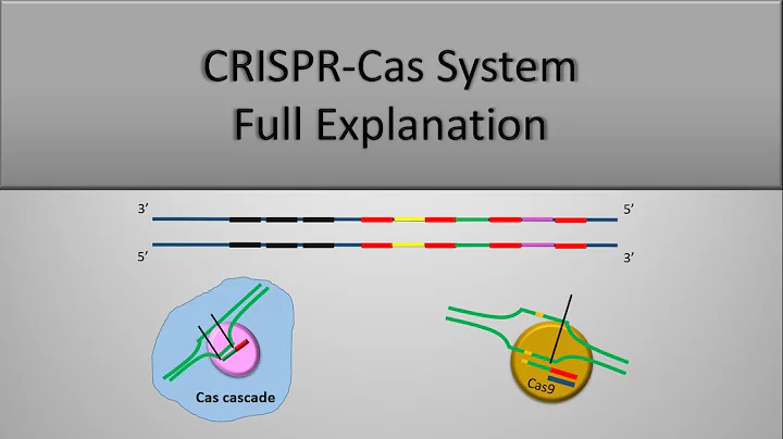 CRISPR System and CRISPR CAS9 Technique, The full ...