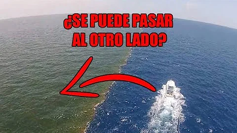 ¿Cuál es el único país de América del Sur tiene costas en los dos océanos?