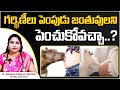 ప్రెగ్నెన్సీ లో కుక్క పిల్లల్ని పెంచుకోవచ్చా..? | Is It Safe for Pregnant Women to Have Pets? | HFC