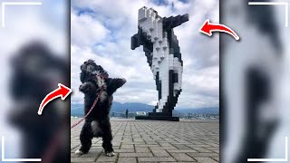 Rblessedimages Pictures To Make Your Day Better