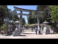 三大神社と藤の花