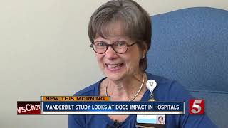 Vanderbilt nursing professor launches study on therapy dogs