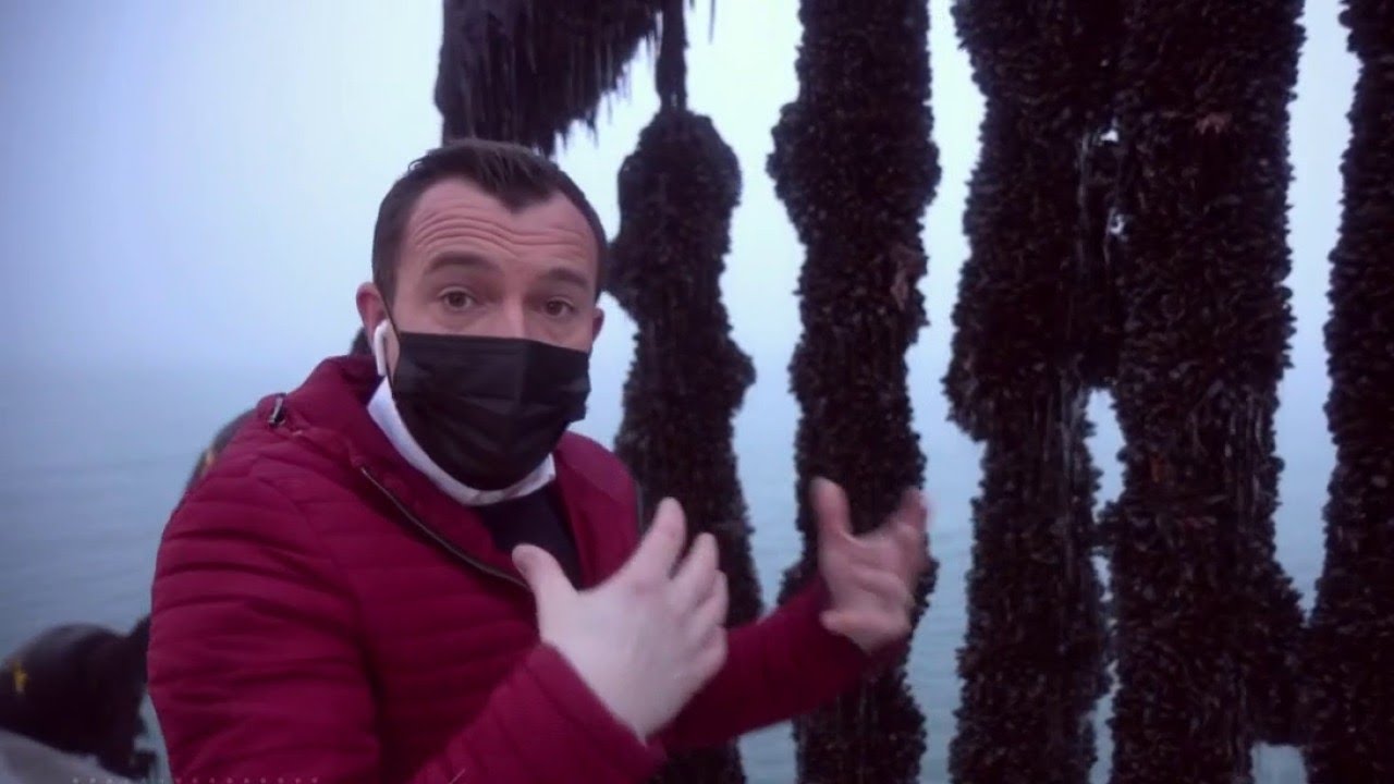 Terroir - Les moules sur cordes