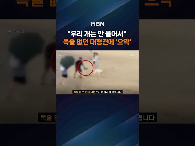 "우리 개는 안 물어요" 큰소리치더니…결국 '콱' 달려든 대형견