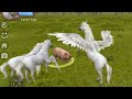 Wildcraft - play as Horse!!