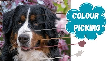 How to Choose Colours for your Artwork! - Using Microsoft Paint!