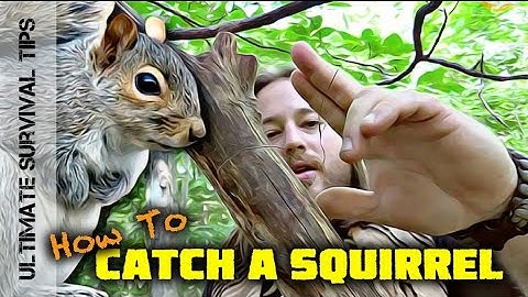SURVIVAL MEAT! Squirrel Pole Snare Set-Up - SURVIVAL TRAPS / SNARES 101