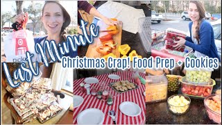 Christmas Rush! Grocery Haul, Costco + ALDI (what!), Food Prep, Cookie Decorating, and MORE!