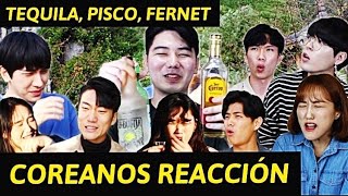 COREANOS PRUEBAN TEQUILA, PISCO, FERNET POR PRIMERA VEZ **ESTÁN BORRACHOS** │Pandita Chan