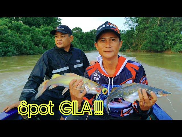 SPOT MANCING IKAN BABON PADA NGAMUK | SUNGAI KUALAN class=