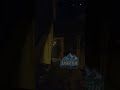 Лисиця бігає окупованим Донецьком