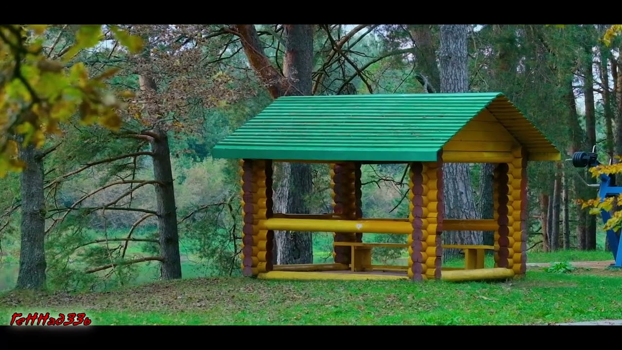 Золотая Осень - 2024.