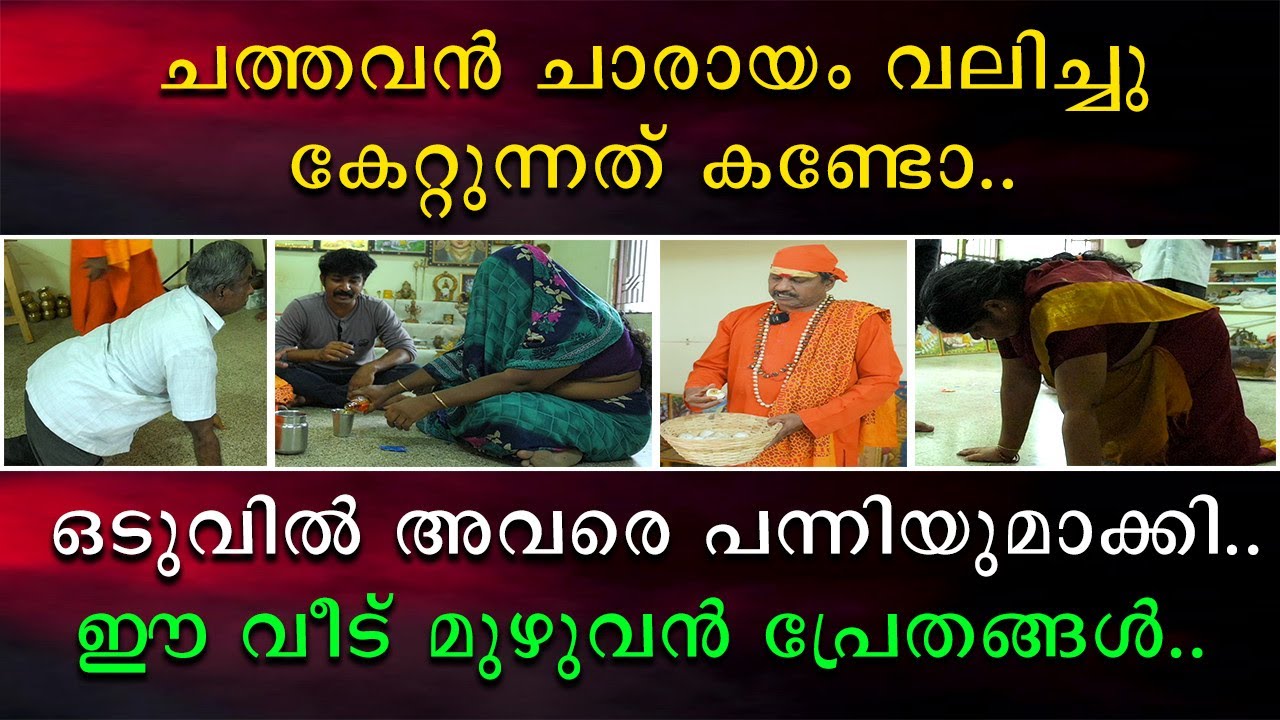 ചത്തവൻ ചാരായം വലിച്ചു കേറ്റുന്നത് കണ്ടോ | ഒടുവിൽ അവരെ പന്നിയുമാക്കി