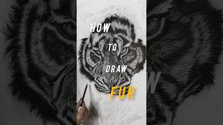How to draw animal fur | Realistic Tiger Drawing