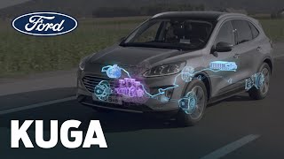 New Ford Kuga EcoBlue Hybrid (Mild Hybrid) | Ford UK