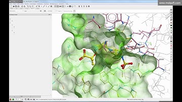 Covalent Ligand Docking Webinar using MolSoft ICM-Pro
