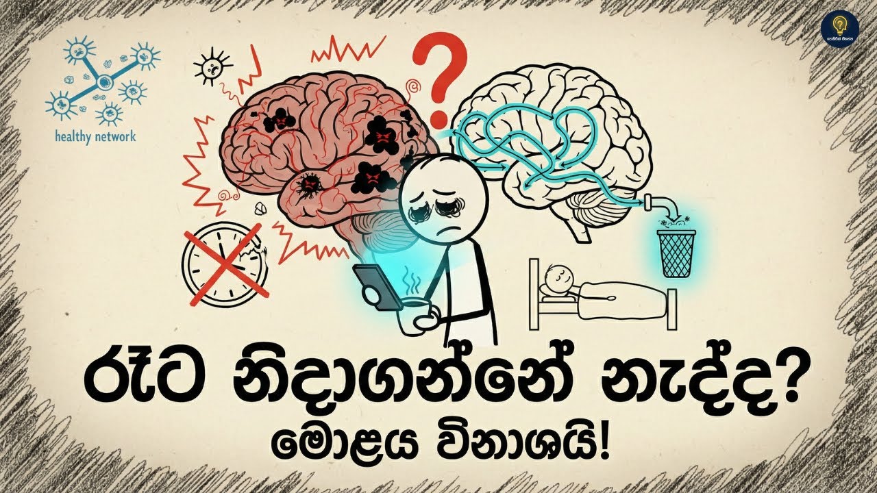 ඔබ රෑට පැය 6ට අඩුවෙන් නිදාගන්න කෙනෙක්ද? 😱  පරිස්සම් වෙන්න! | The Science of Sleep Deprivation