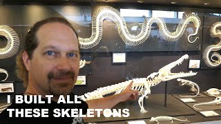 Trip to France to see my creatures. I built all these skeletons / Reptiles Museum and Zoo