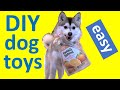 DIY dog toys: 5 everyday objects we use to keep our Pomsky puppy busy (plastic bottles, bones, etc.)